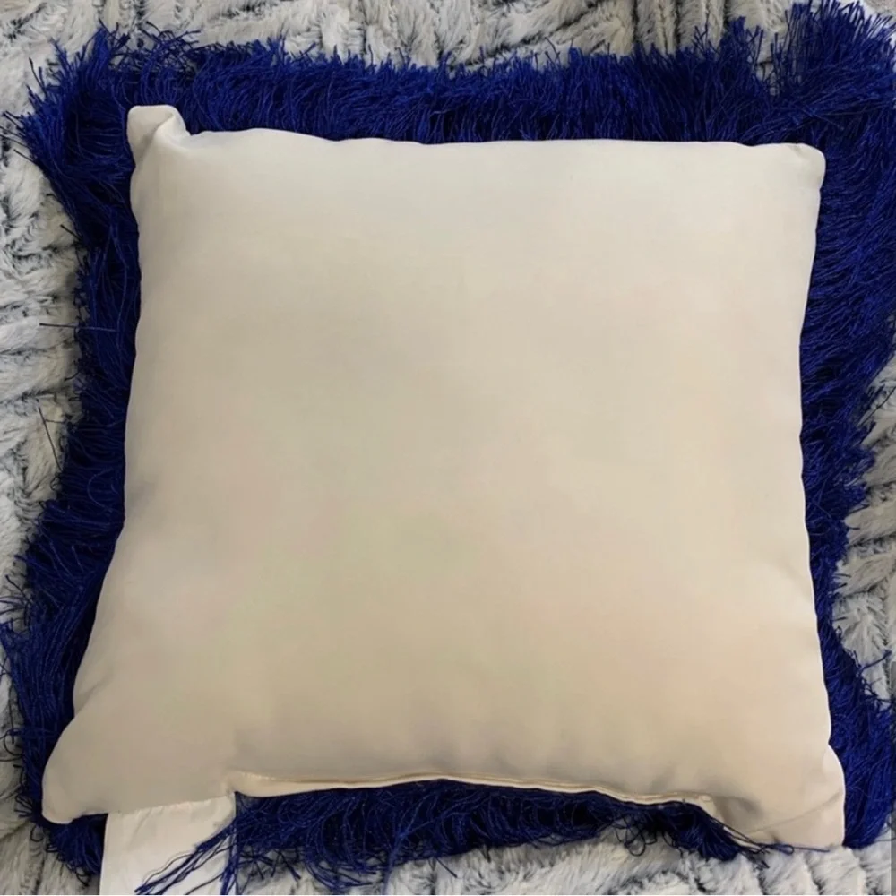 Pier 1 Imports Indoor Outdoor Fringe Pillow